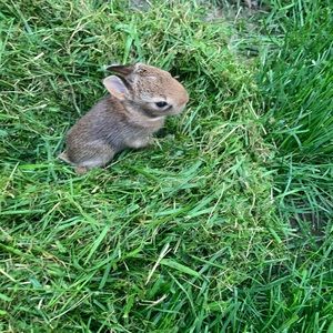 Meet your Posher, Ethan